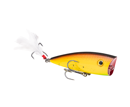 Strike King KVD Splash Top Water