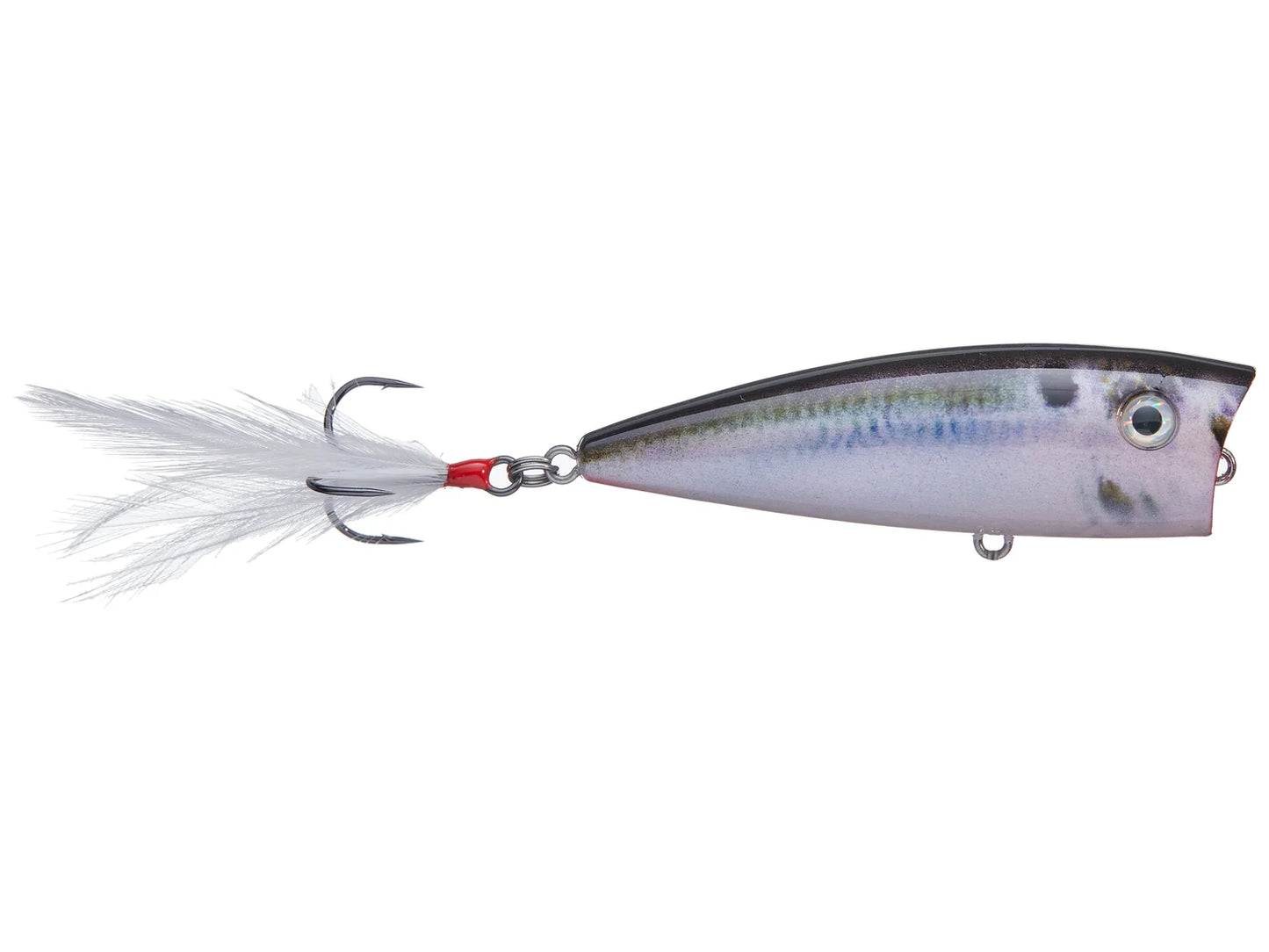 Strike King KVD Splash Top Water