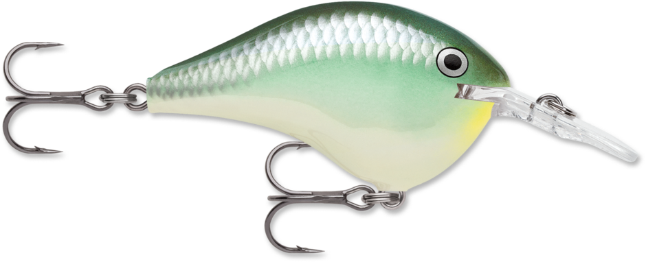 Rapala DT (Dives to) Series