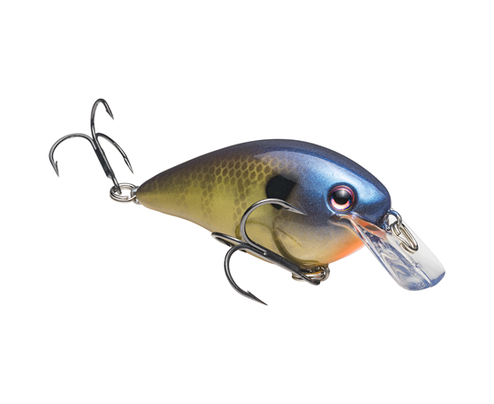 Strike King KVD 1.5 Square Bill Crankbait
