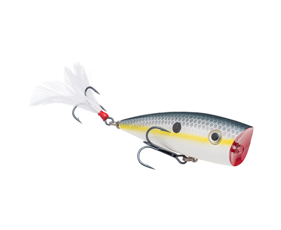 Strike King KVD Splash Top Water