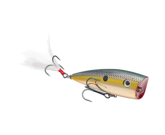 Strike King KVD Splash Top Water