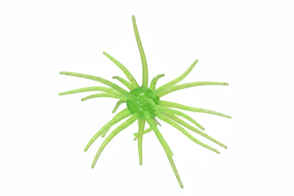 Super Urchin 19mm