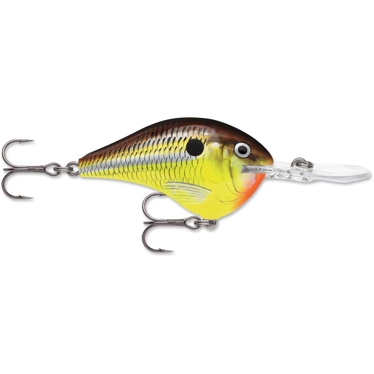 Rapala DT (Dives to) Series