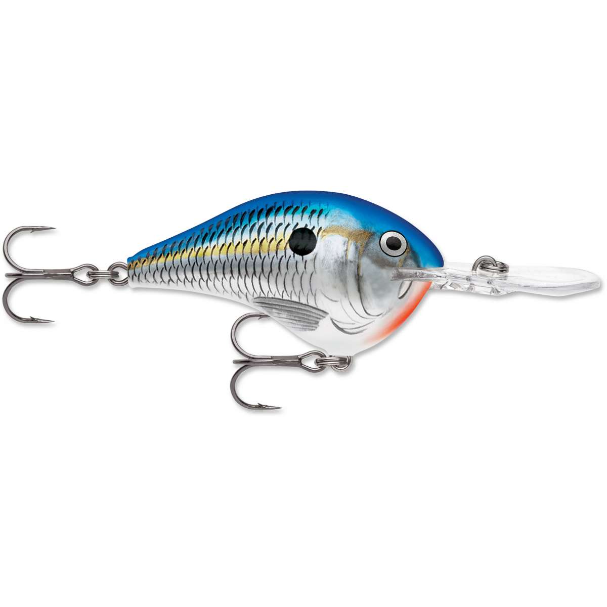 Rapala DT (Dives to) Series