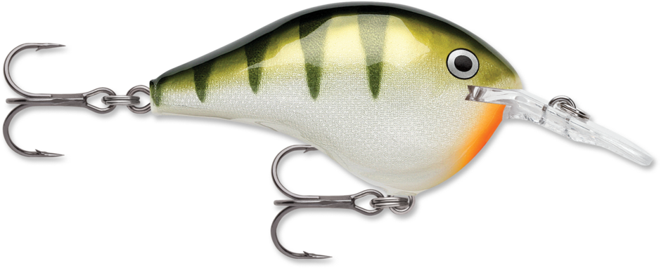 Rapala DT (Dives to) Series